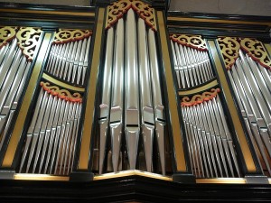 organ